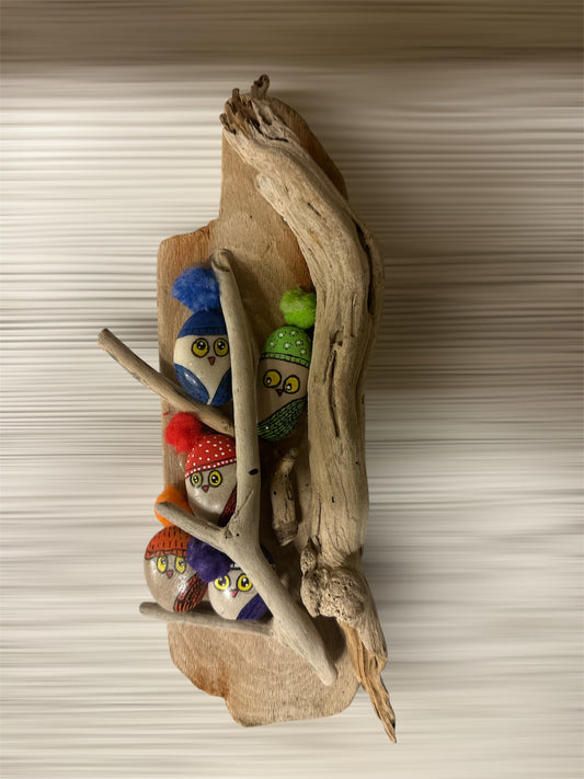 KSP10 / 23 cm  - Price: 3,50€